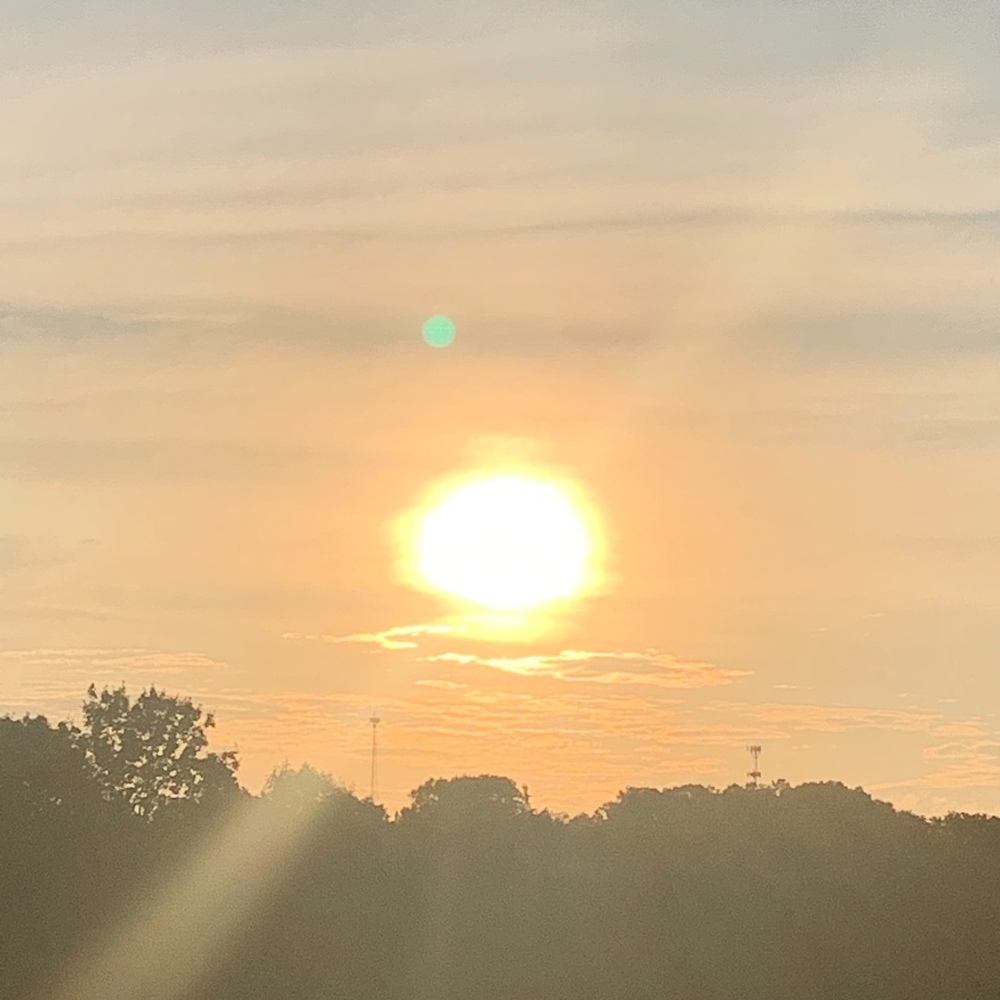 Meet your Posher, Ava and